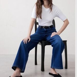 Banana Republic Women's Denim High-waisted Wide Leg Jeans